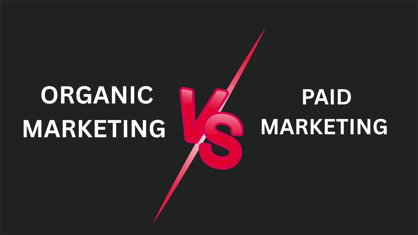Organic vs Paid Marketing: What Should You Focus on First?
